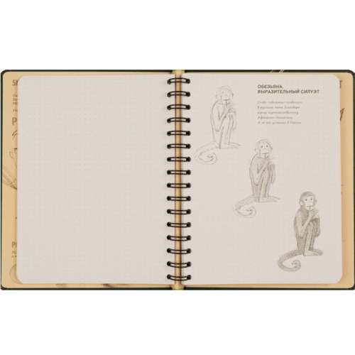 Sketchbook с уроками внутри. Рисуем животных (изумруд)